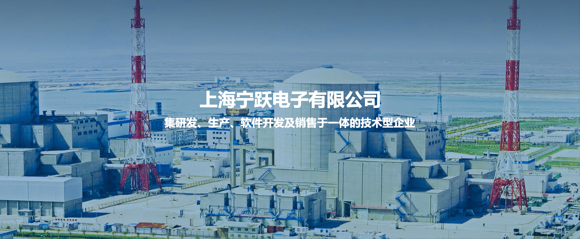 上海宁跃电子有限公司