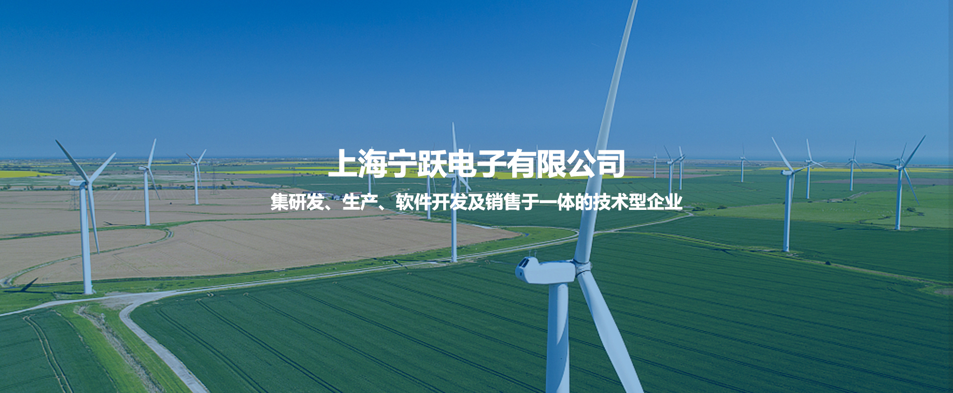 上海宁跃电子有限公司